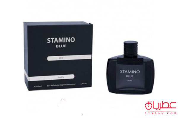  Prime Collection Stamino Blue