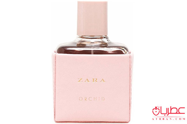 Zara Orchid 2016
