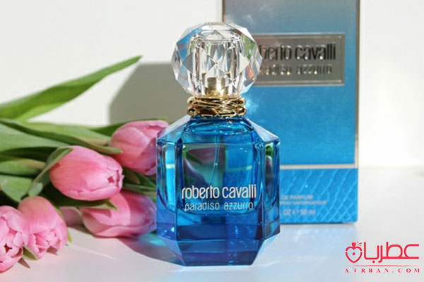 roberto cavalli Paradiso Azzurro