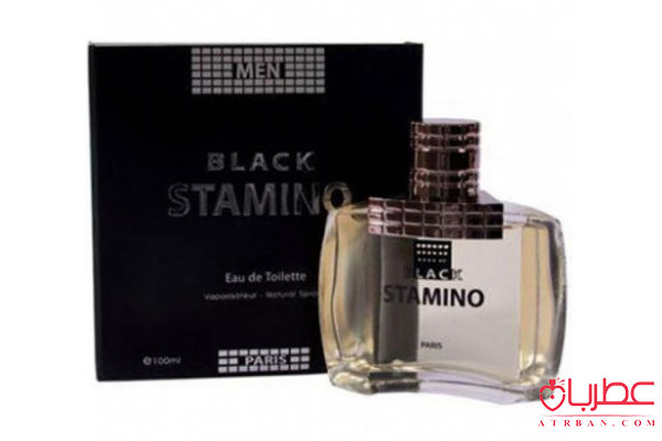 Prime Collection Black Stamino