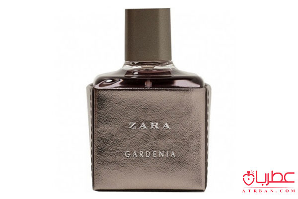  Zara Gardenia 2017