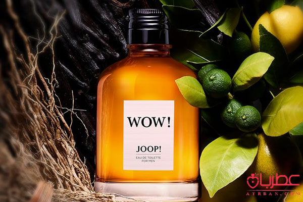 !Joop! Wow