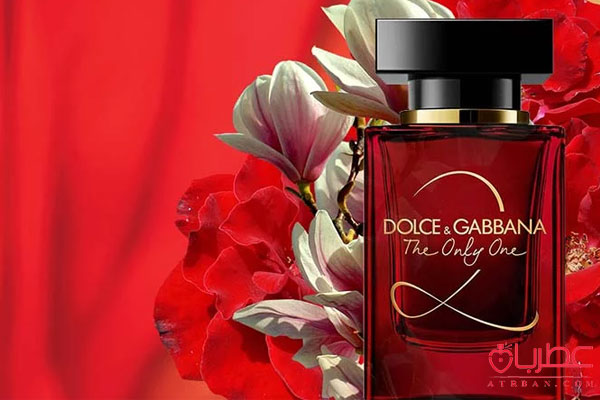  Dolce Gabbana The Only One 2
