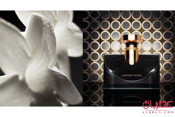 Bvlgari Splendida Jasmin Noir