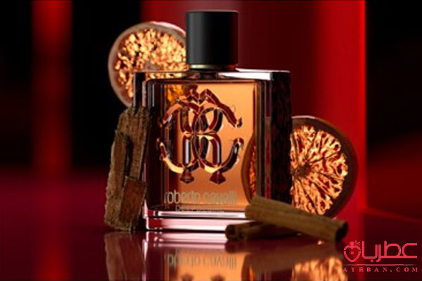 Roberto Cavalli Uomo Deep Desire