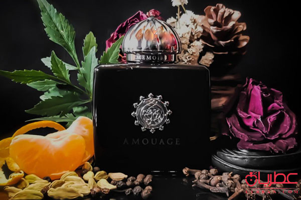 عطر ادکلن آمواج ممویر زنانه