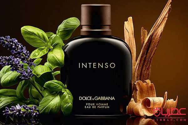 Dolce Gabbana Pour Homme Intenso
